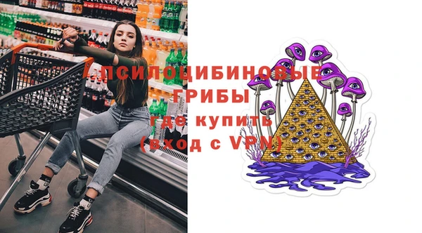 ешки Алексин