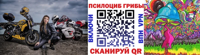 Галлюциногенные грибы MAGIC MUSHROOMS  ОМГ ОМГ ссылки  Ликино-Дулёво  купить наркоту 